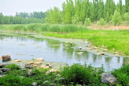 小河流水 清澈山水