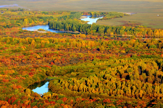 湿地秋季河流森林