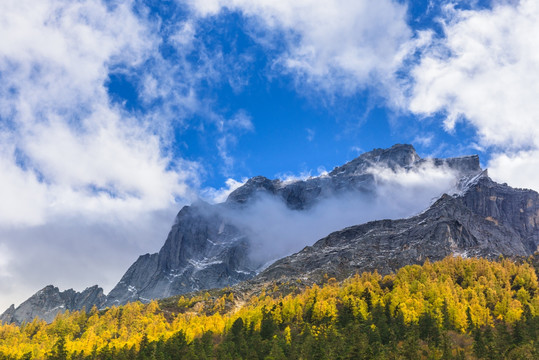 云杉林雪山布达拉峰