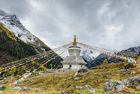 雪山云杉林白塔经幡