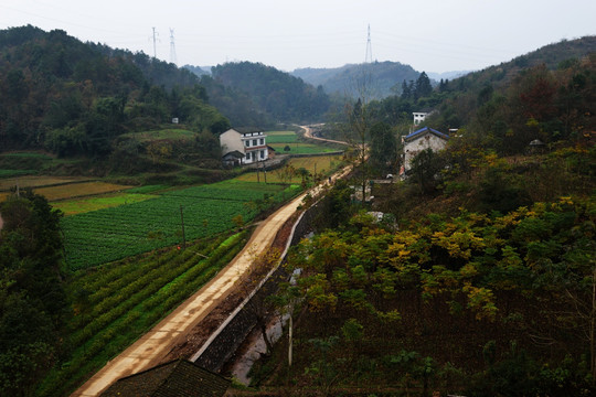 美丽乡村 乡村美景 乡村小道