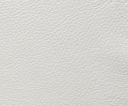 皮纹 真皮纹