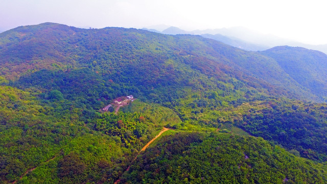 和龙山灵庆院遗址