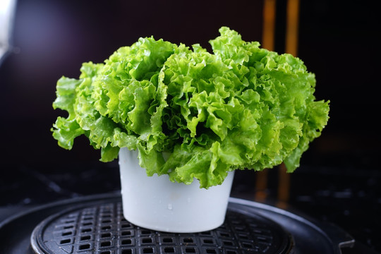 包肉生菜