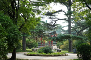 公园