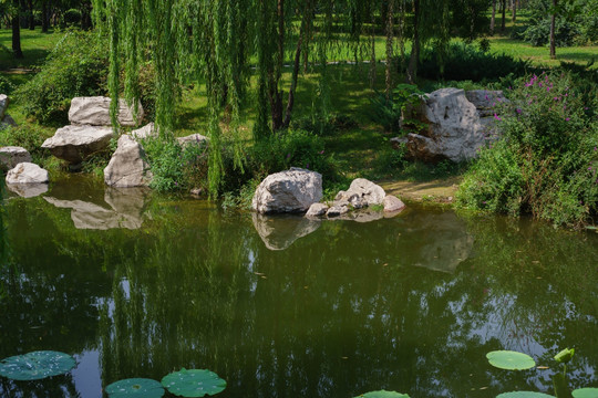 公园湖