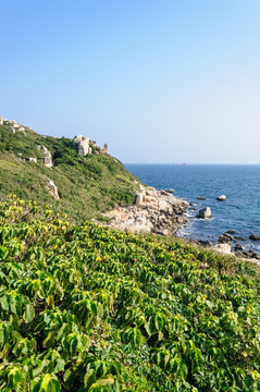 东澳岛景观