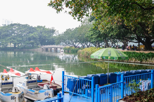 广州流花湖公园景观