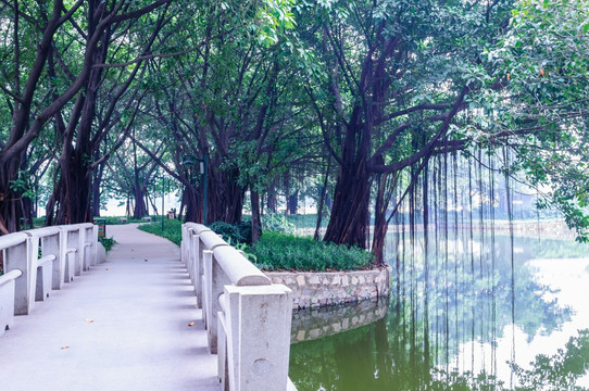 广州流花湖公园景观