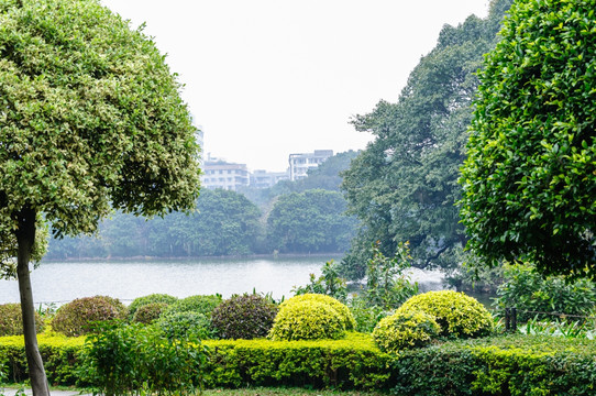 广州流花湖公园景观