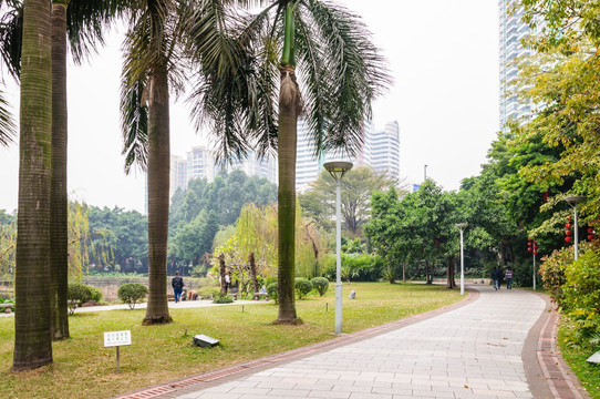 广州荔湾湖公园景观