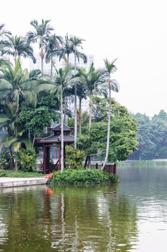 广州荔湾湖公园景观