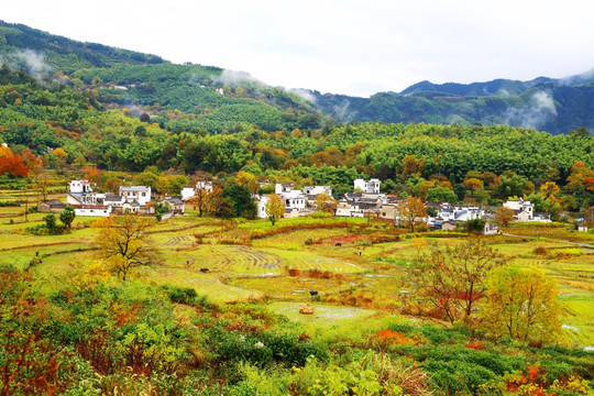 塔川风光