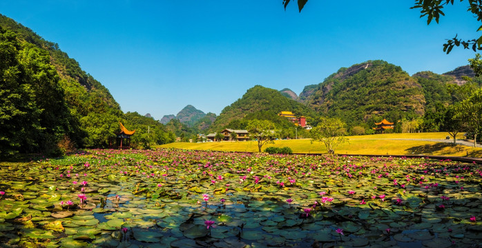 都峤山大草地莲池