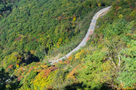 神农架天燕风景区初秋