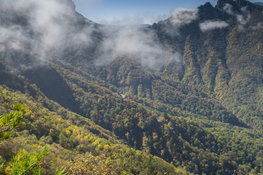 神农架天燕风景区初秋