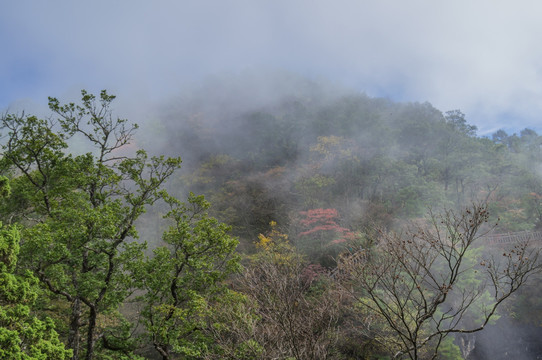 神农架天燕风景区初秋