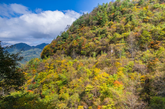 神农架天燕风景区