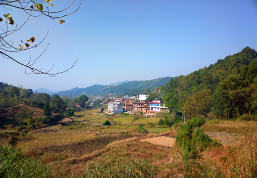 南方地区村庄秋景