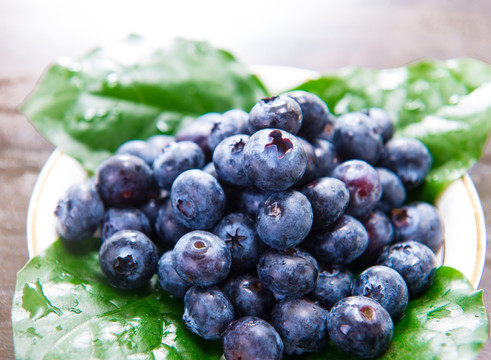 甜 蓝莓 新鲜 新鲜水果 蓝