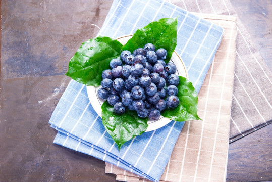 甜 蓝莓 新鲜 新鲜水果 蓝