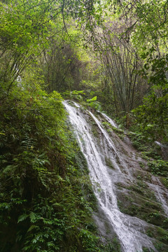 山溪瀑布 山涧泉水溪流