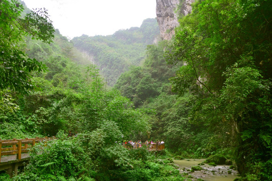 峡谷溪流 绝壁栈道游人