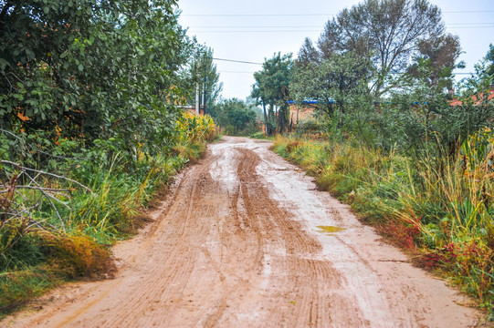 泥浆土路