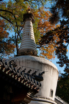 北京潭柘寺 舍利塔