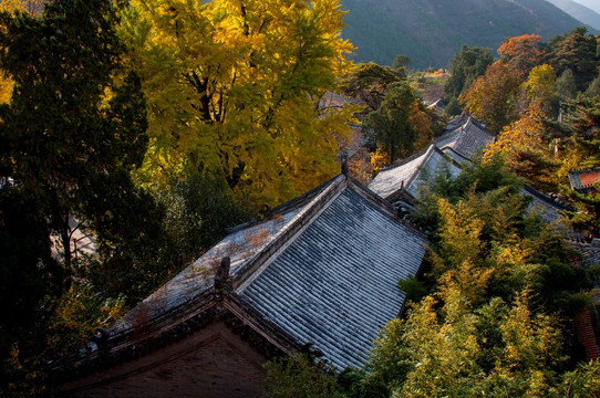 北京潭柘寺