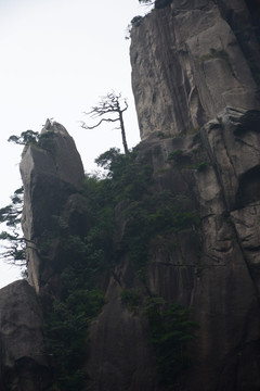 雾中的三清山 水墨山水画