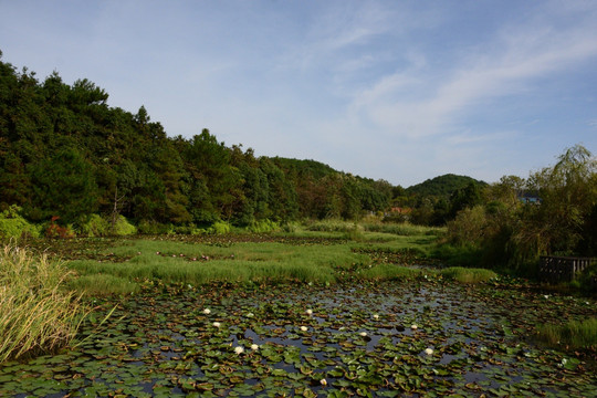 鄱阳湖 鄱阳湖湿地公园