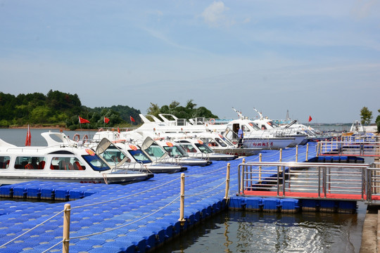 鄱阳湖 鄱阳湖湿地公园