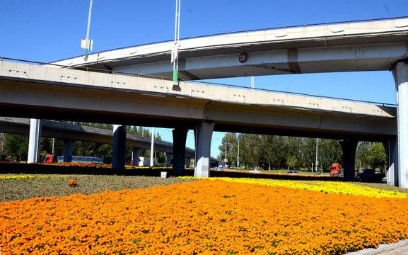 城市立交桥 花坛