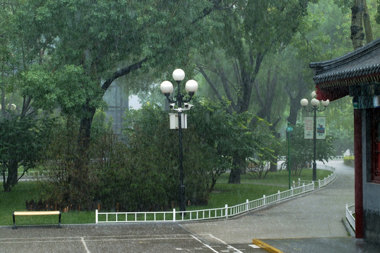 大雨中的公园景象