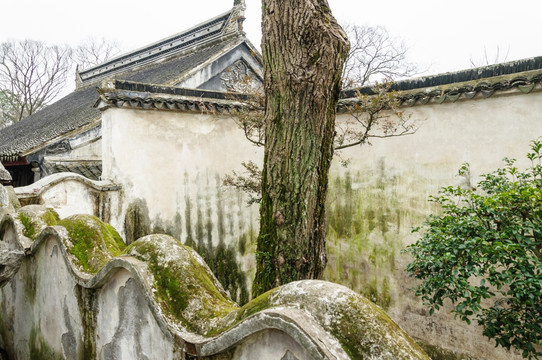 拙政园园景