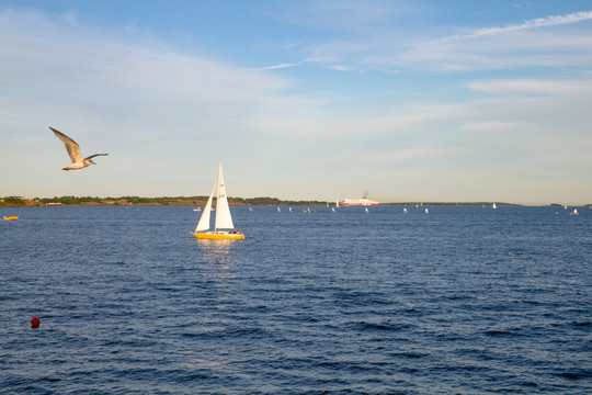 芬兰赫尔辛基海边帆船