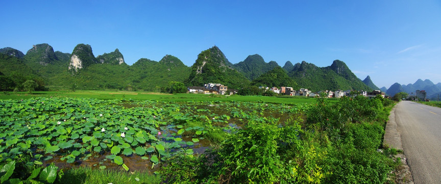 风景