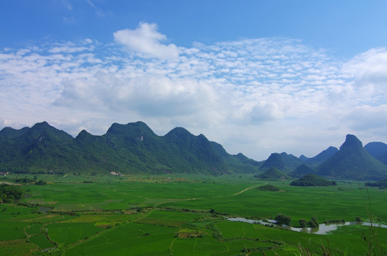 大地 田野