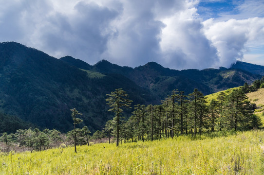 神农架神农顶景区初秋