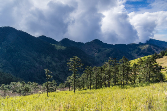 神农架神农顶景区初秋