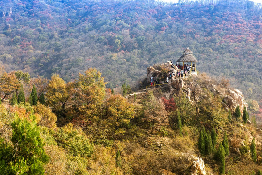 禹州大鸿寨