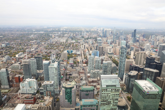 加拿大多伦多 城市俯瞰 多伦多
