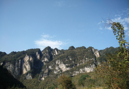 高山绿树