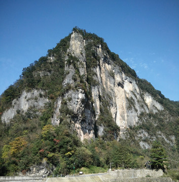 高山绿树