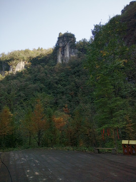 高山绿树