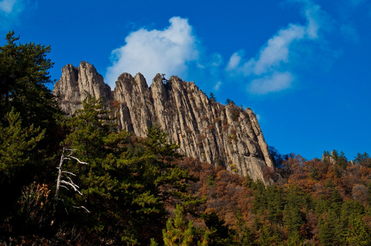 方山梅洞沟