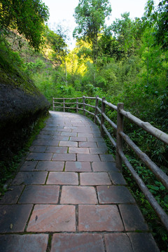 林间小道 栈道