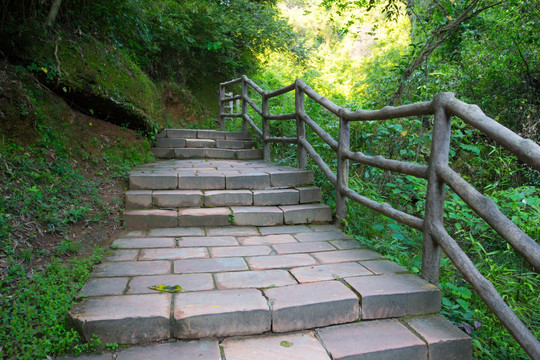 林间小道 栈道