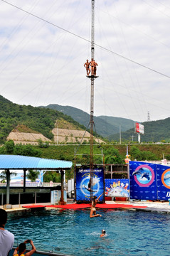 高空跳水表演